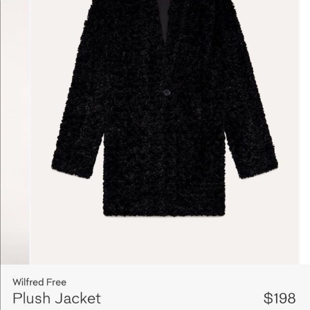 Aritzia coat